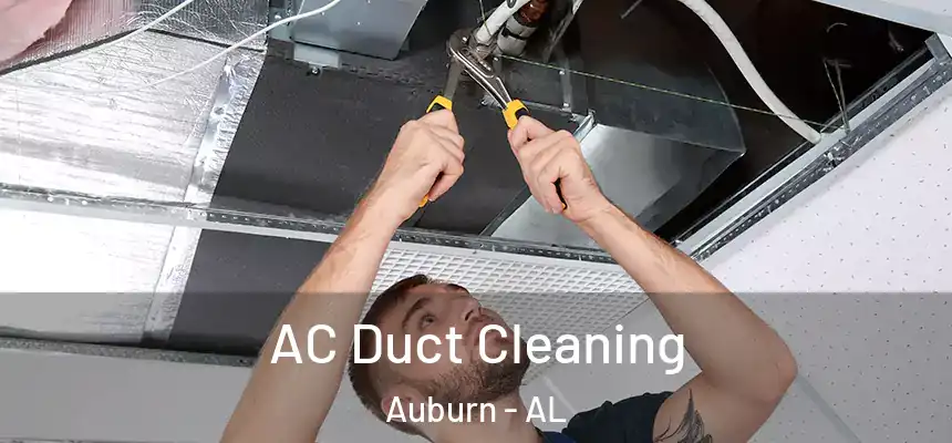  AC Duct Cleaning Auburn - AL