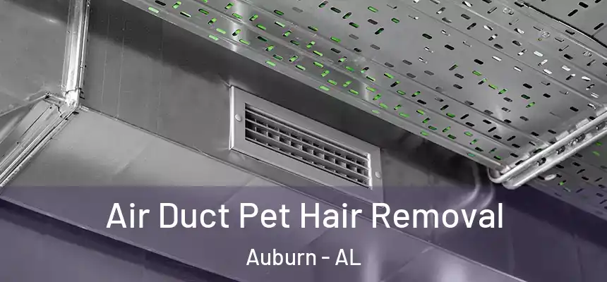  Air Duct Pet Hair Removal Auburn - AL