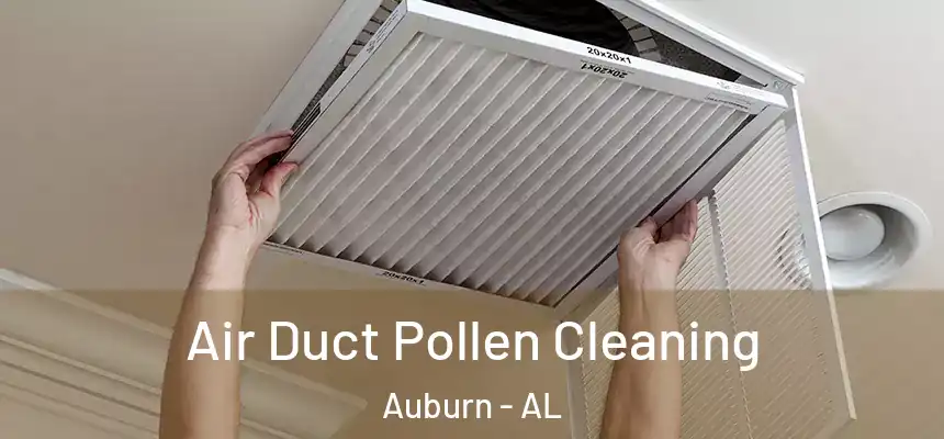  Air Duct Pollen Cleaning Auburn - AL