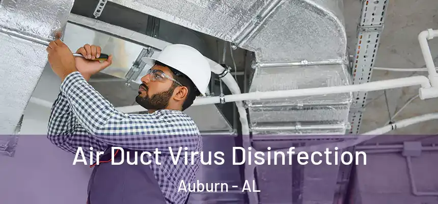  Air Duct Virus Disinfection Auburn - AL