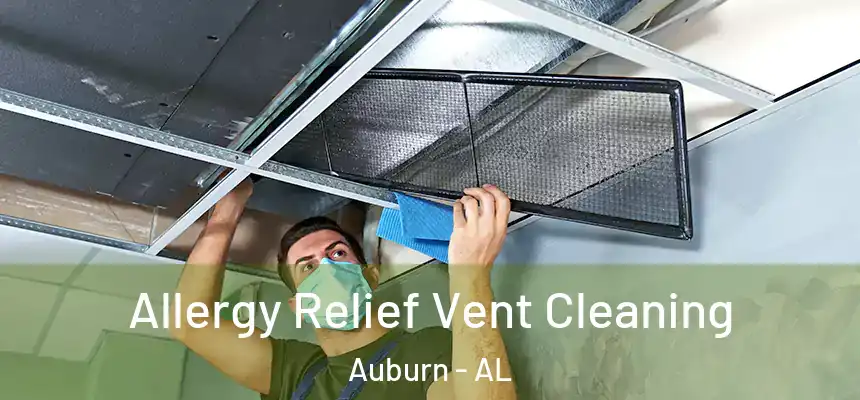  Allergy Relief Vent Cleaning Auburn - AL