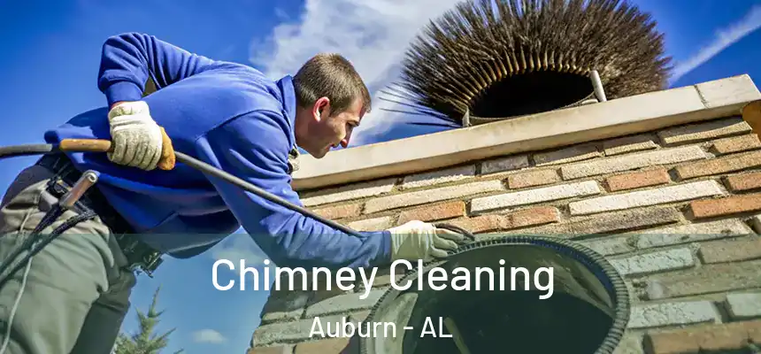  Chimney Cleaning Auburn - AL