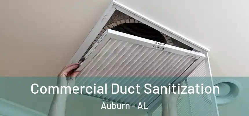  Commercial Duct Sanitization Auburn - AL