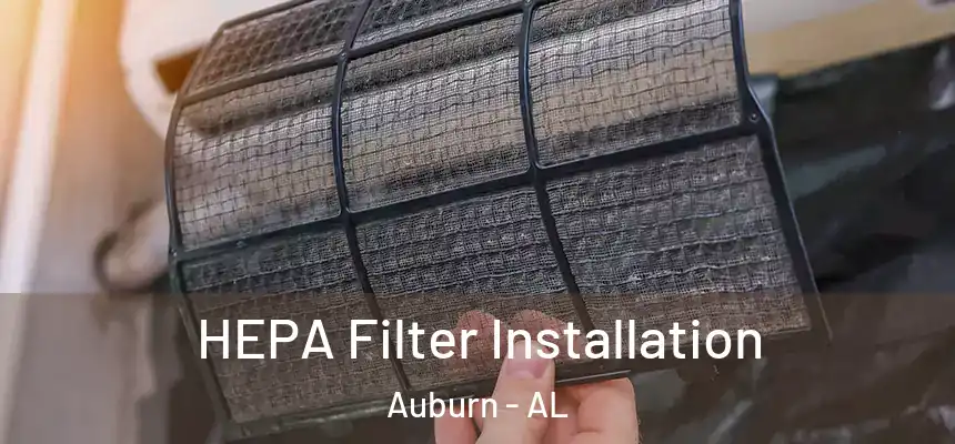  HEPA Filter Installation Auburn - AL