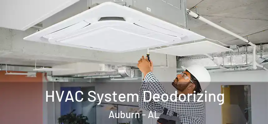  HVAC System Deodorizing Auburn - AL