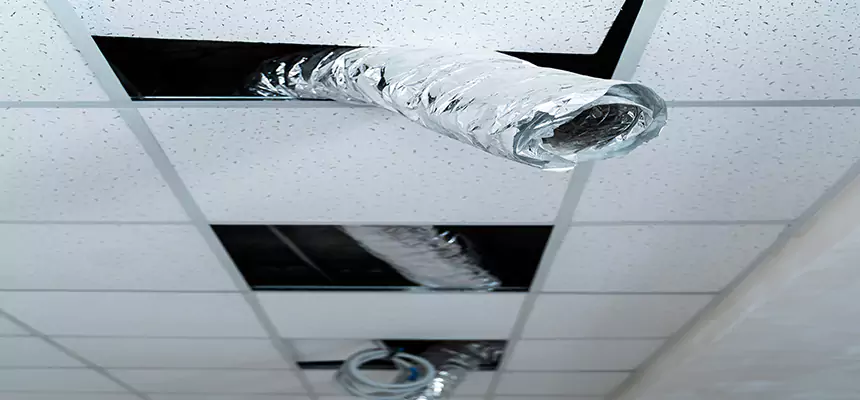 Our Air Duct Pet Hair Removal Services in Auburn, AL