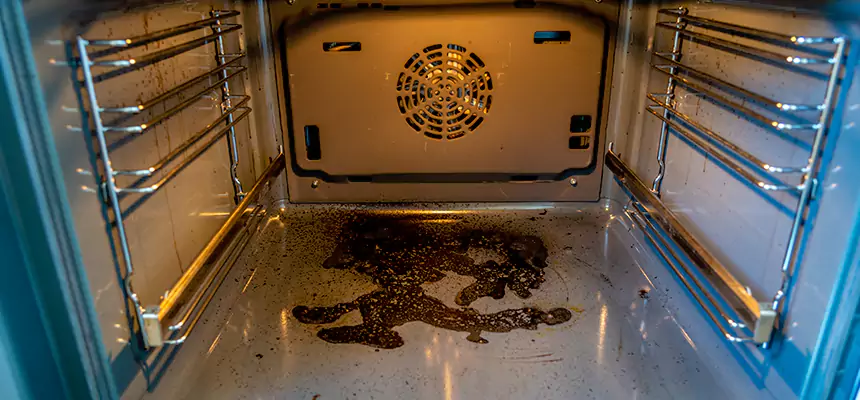 Our Dryer Vent Mold Cleaning Services in Auburn, AL