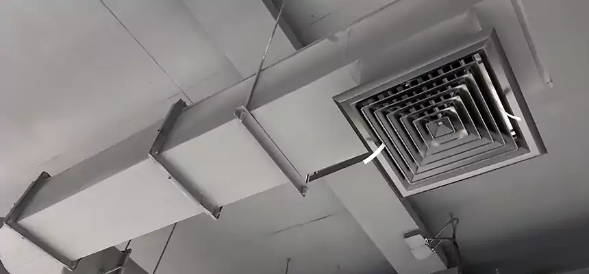 Our Pest Removal From Ducts Services in Auburn, AL