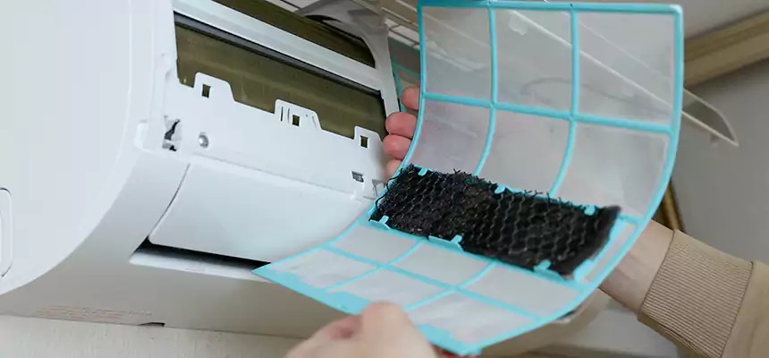 Gentle Ductwork Odor-Control Pet Dander Duct Cleaning in Auburn, AL