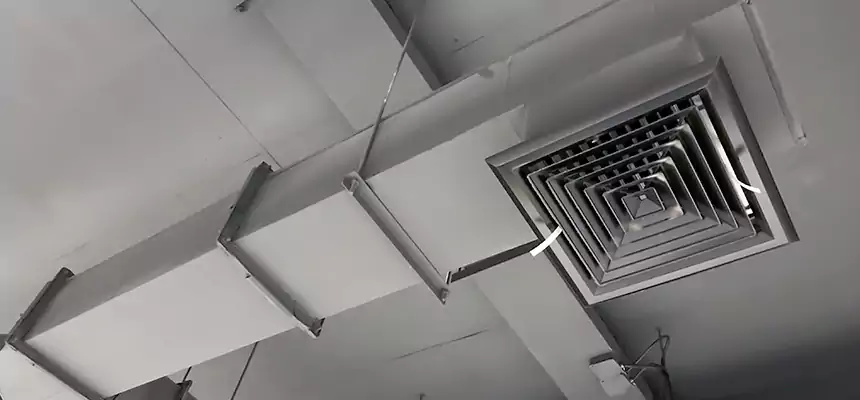 Our Rodent Droppings In Vents Services in Auburn, AL