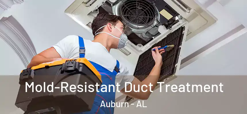  Mold-Resistant Duct Treatment Auburn - AL