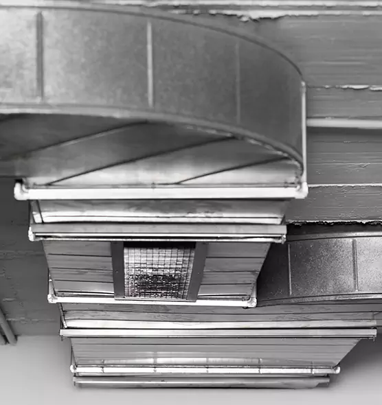 Professional Air Duct Pet Hair Removal in Auburn, AL