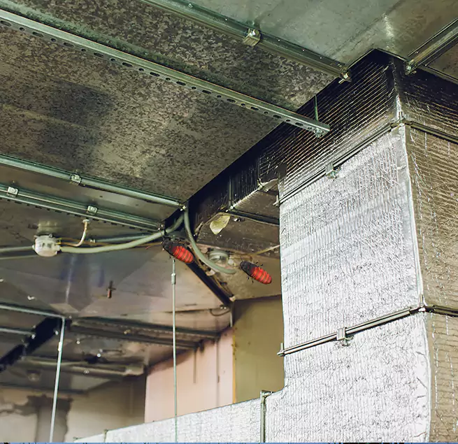 Why Homeowners & Businesses Trust Us Auburn, AL?