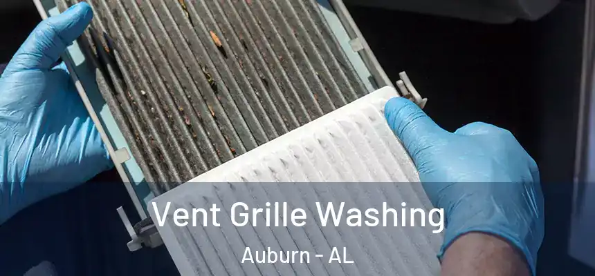  Vent Grille Washing Auburn - AL
